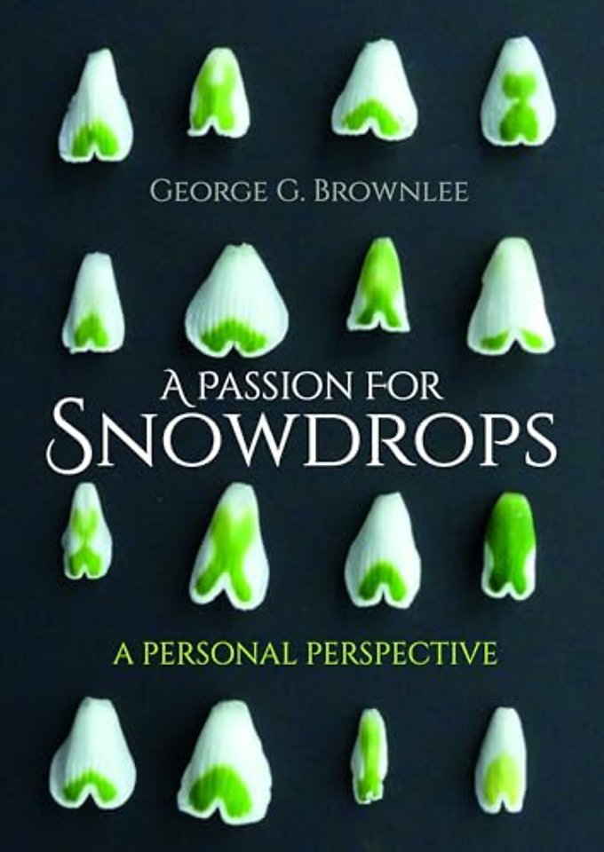 A Passion for Snowdrops