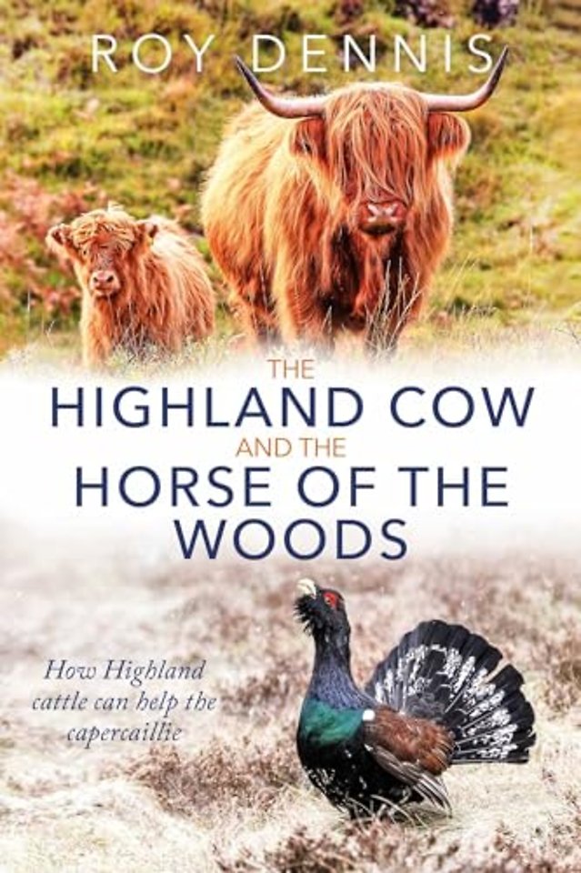 Highland Cow & the Horse of the Woods