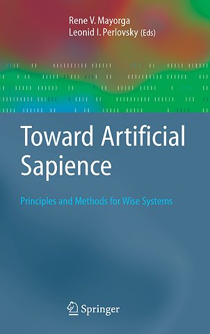 Toward Artificial Sapience