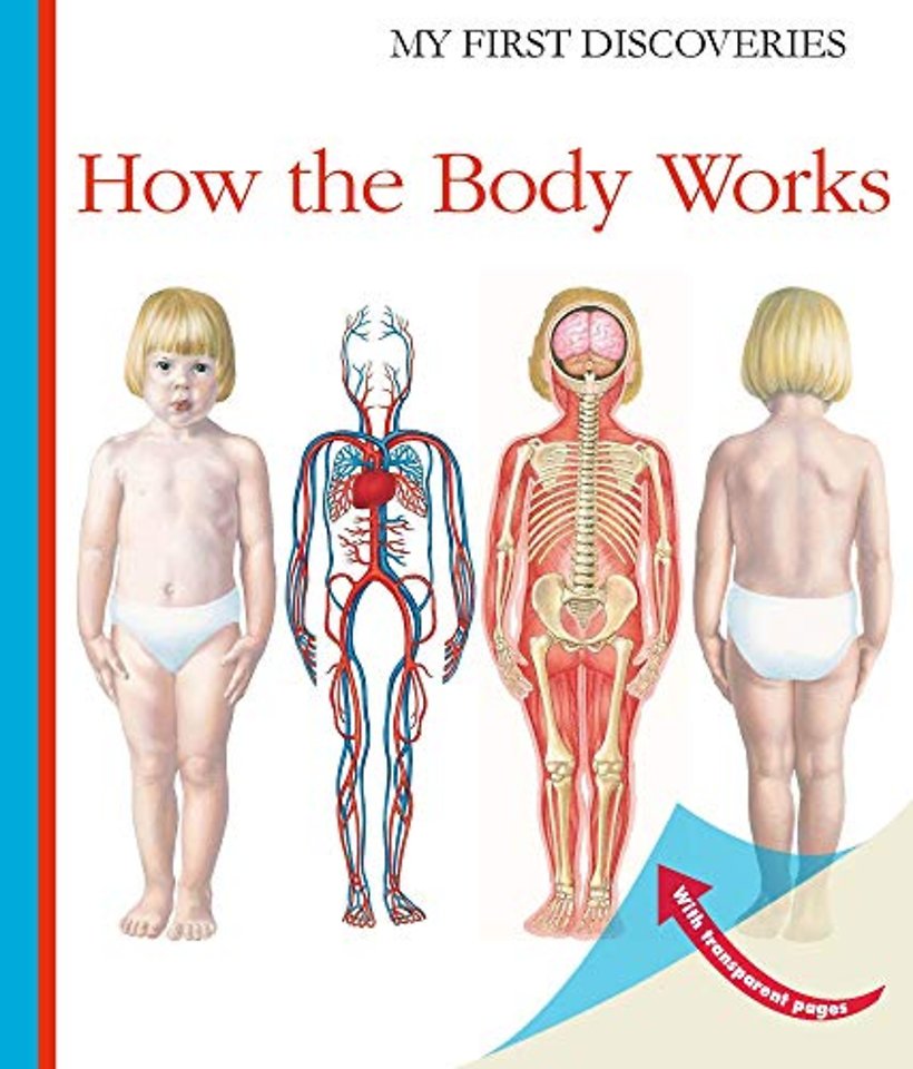 How the Body Works