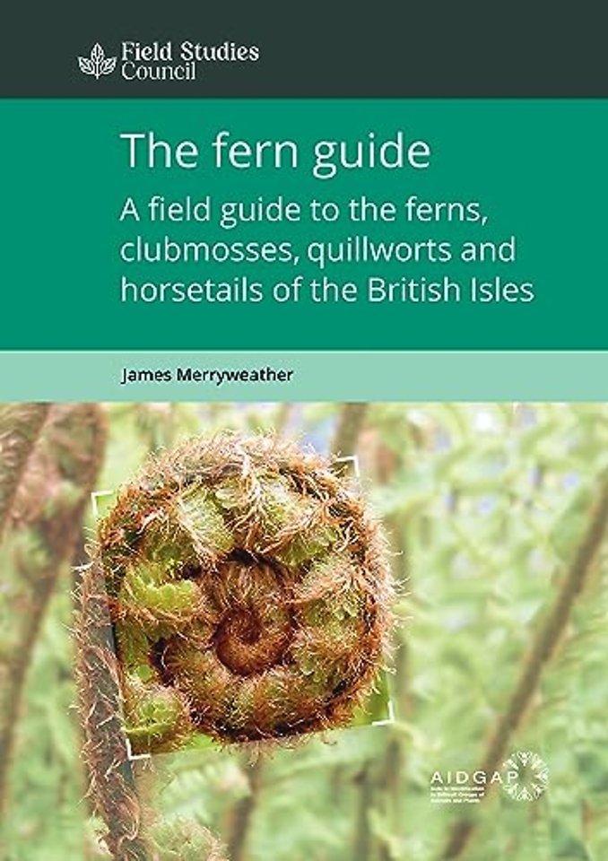 The Fern Guide