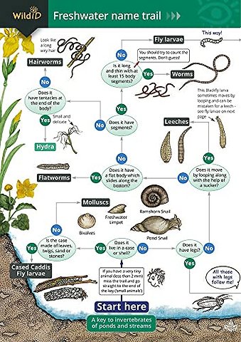 The Freshwater name trail
