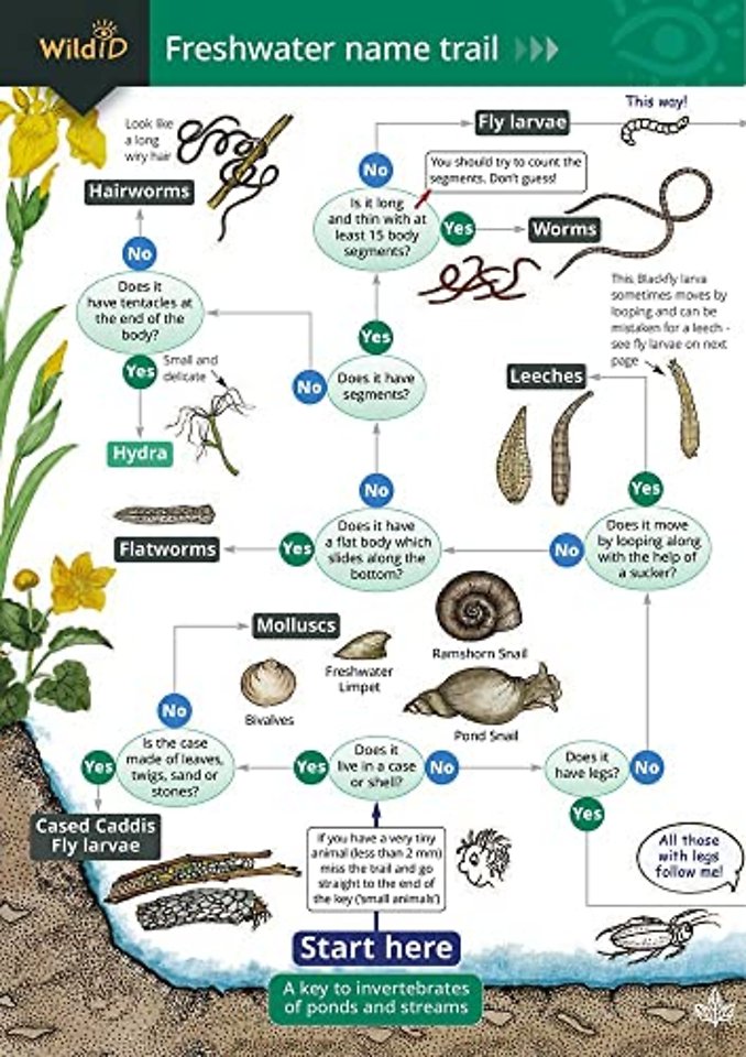 The Freshwater name trail
