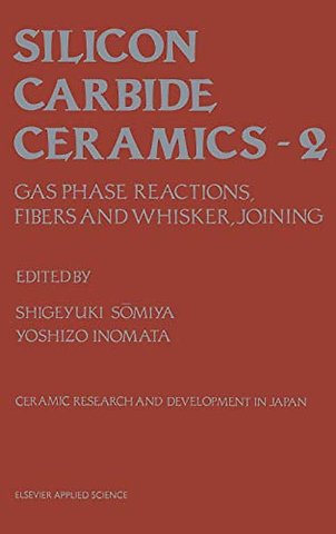 Silicon Carbide Ceramics