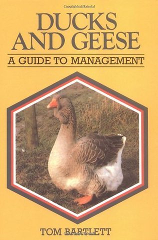 Ducks and Geese