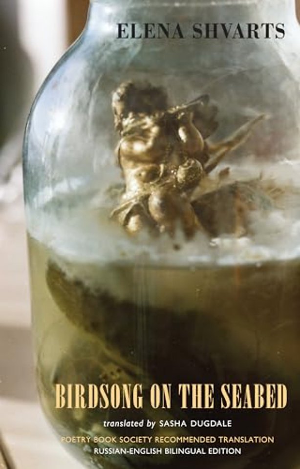 Birdsong on the Seabed