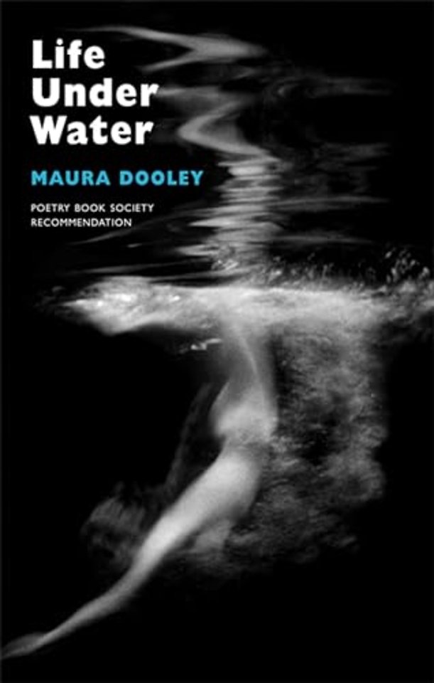 Life Under Water
