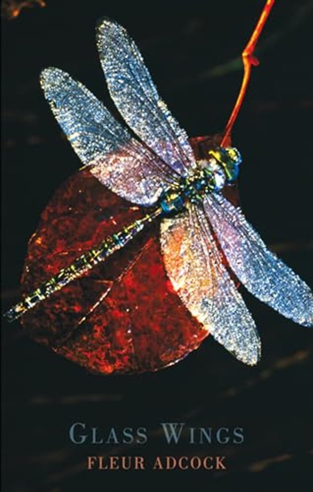 Glass Wings