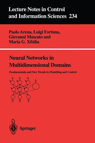 Neural Networks in Multidimensional Domains