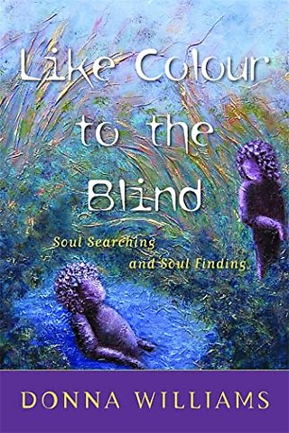 Like Colour to the Blind