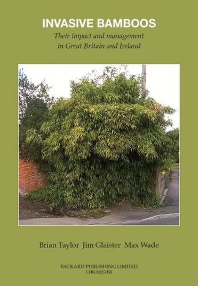 Invasive Bamboos