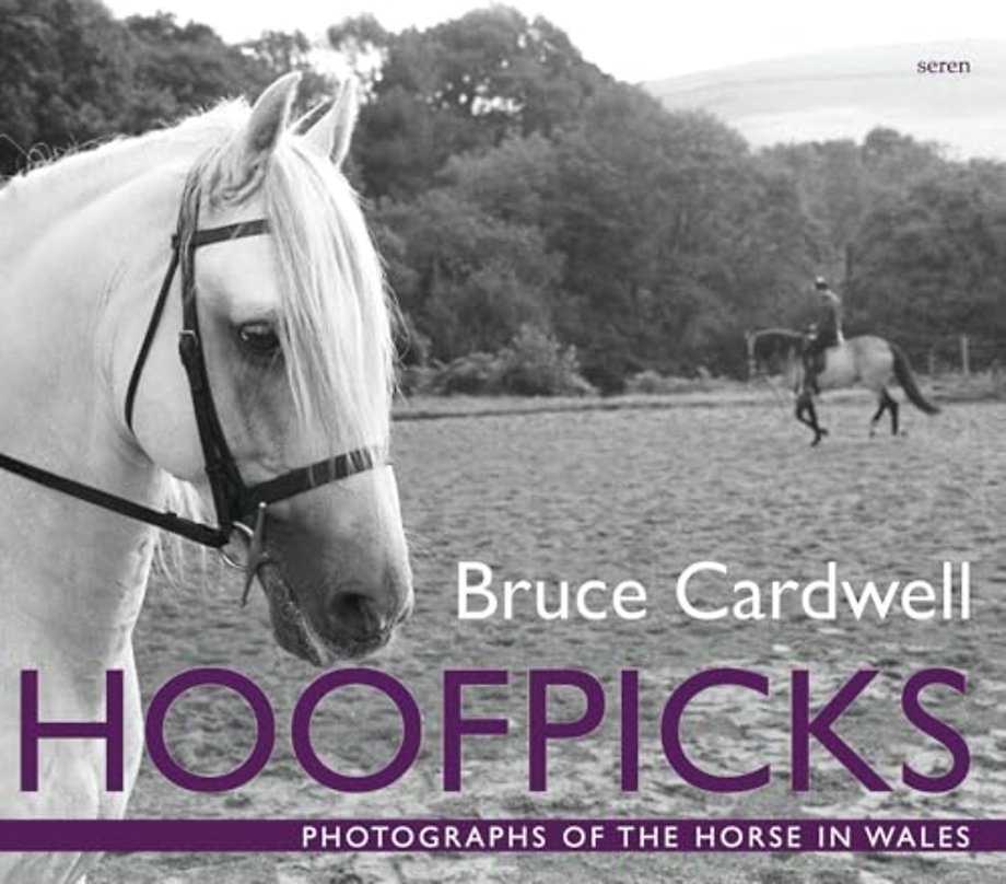 Hoofpicks