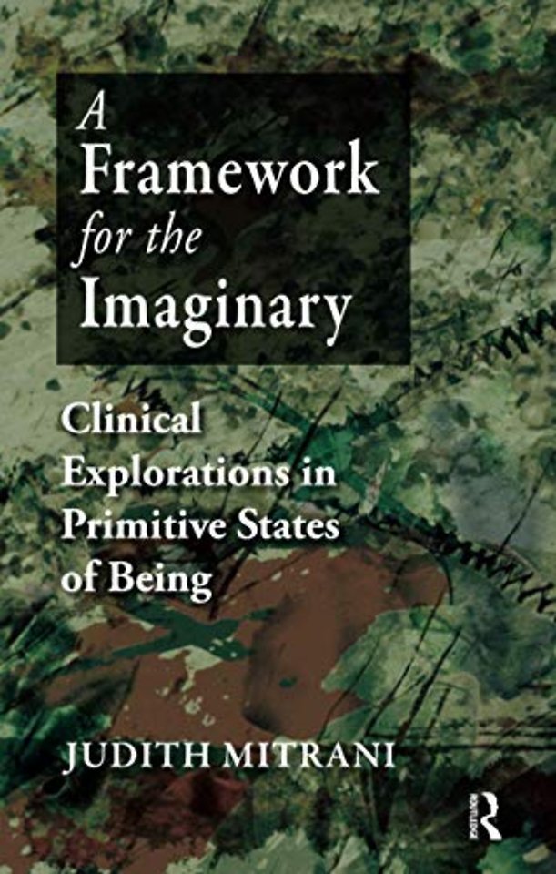 Framework for the Imaginary