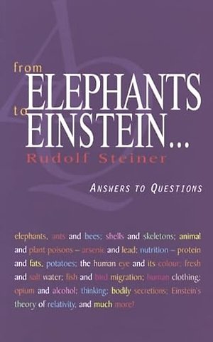 From Elephants to Einstein