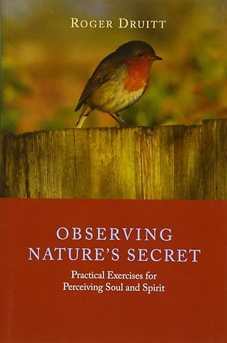Observing Nature's Secret