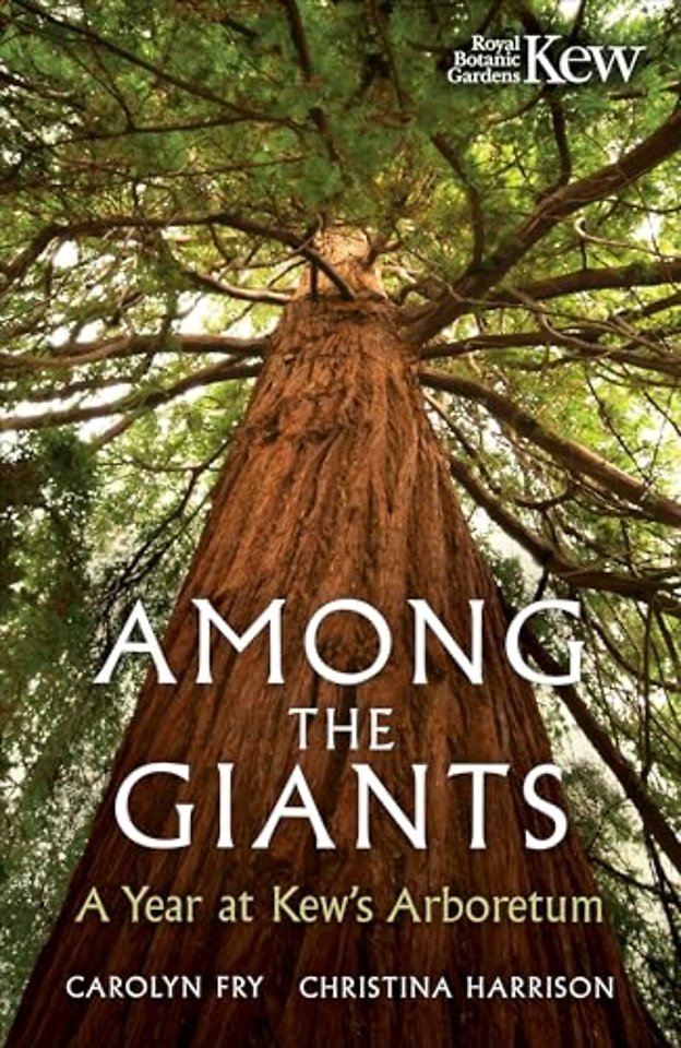Among the Giants