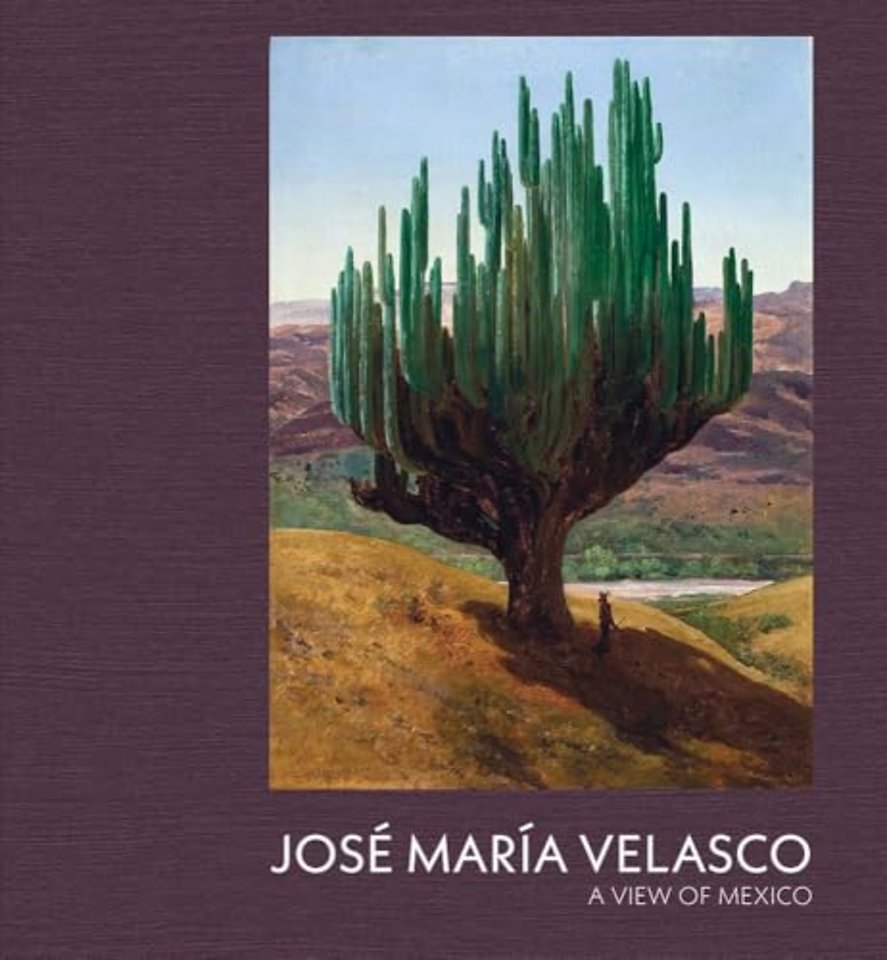 Jose Maria Velasco – A View of Mexico