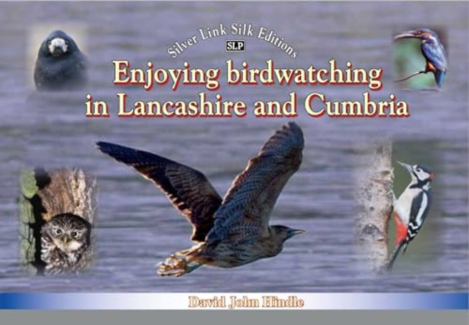 Enjoying Birdwatching in Lancashire and Cumbria