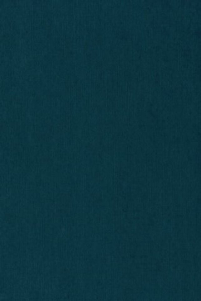 Bounded Rationality and Economic Evolution – A Contribution to Decision Making, Economics and Management