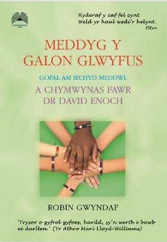 Meddyg y Galon Glwyfus - Gofal am Iechyd Meddwl a Chymwynas Fawr Dr David Enoch