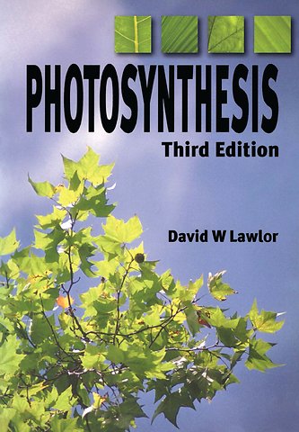 Photosynthesis