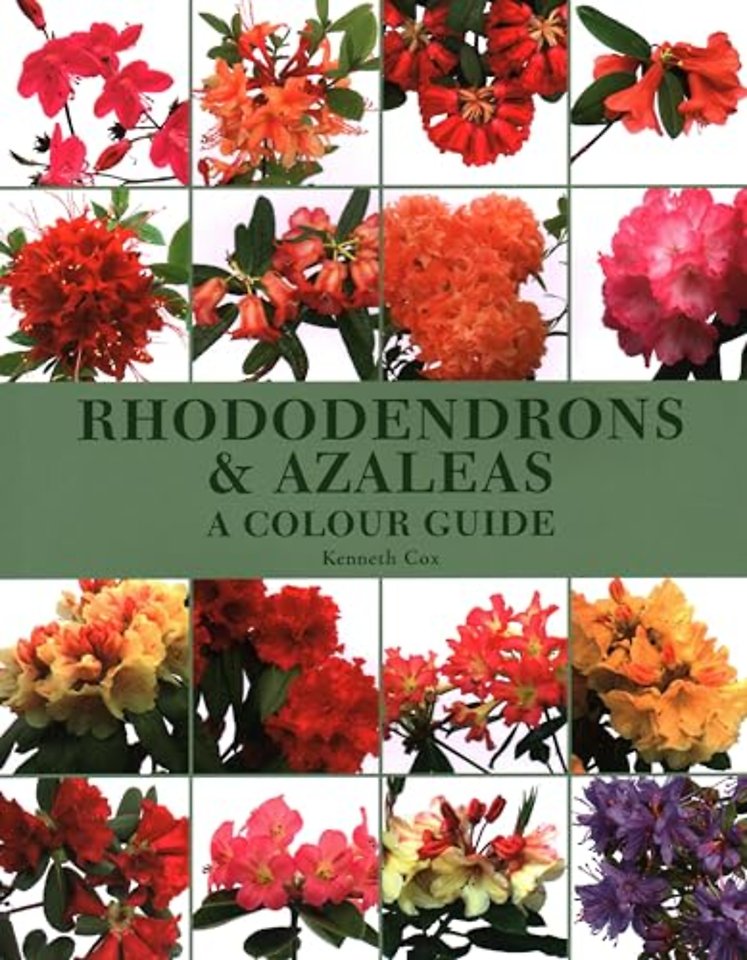 Rhododendrons & Azaleas – A Colour Guide
