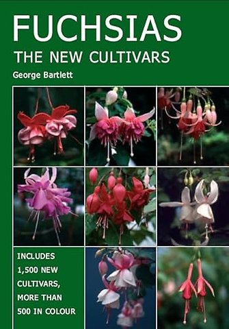 Fuchsias