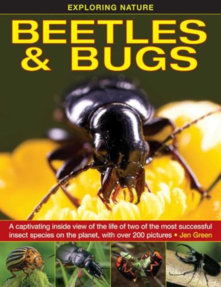 Exploring Nature: Beetles & Bugs