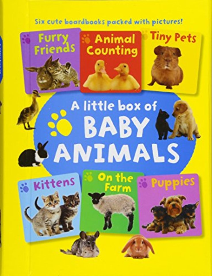 Little Box of Baby Animals