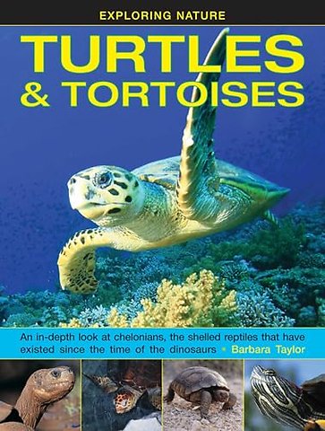 Exploring Nature: Turtles & Tortoises