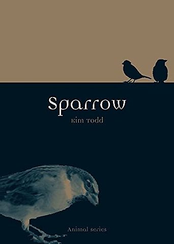 Sparrow
