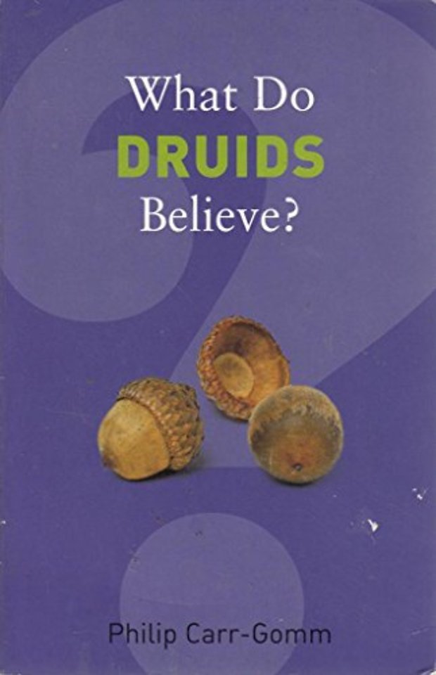 What Do Druids Believe?