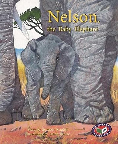 Nelson, the baby Elephant
