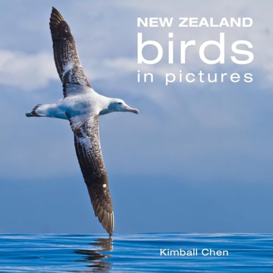 New Zealand Birds in Pictures