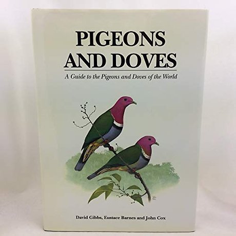 Pigeons and Doves