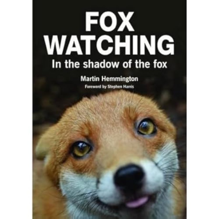 Fox Watching
