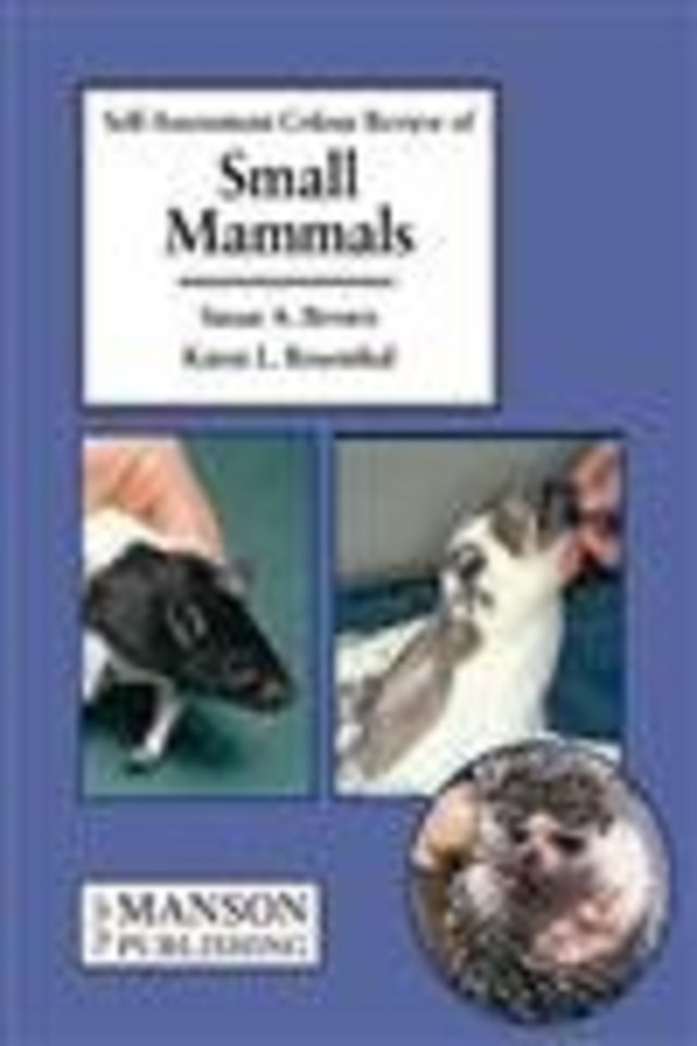 Small Mammals