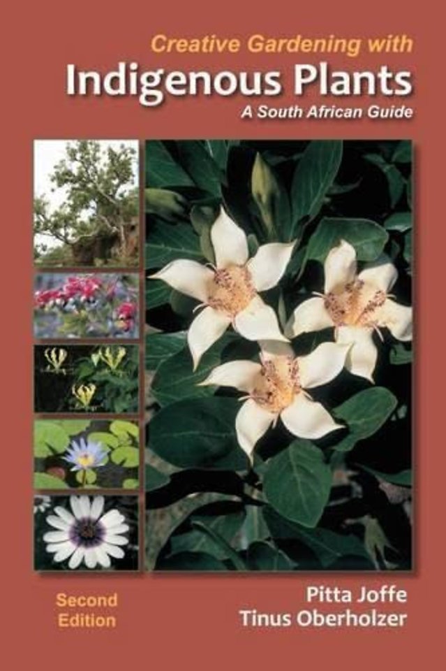 Creative gardening with indigenous plants