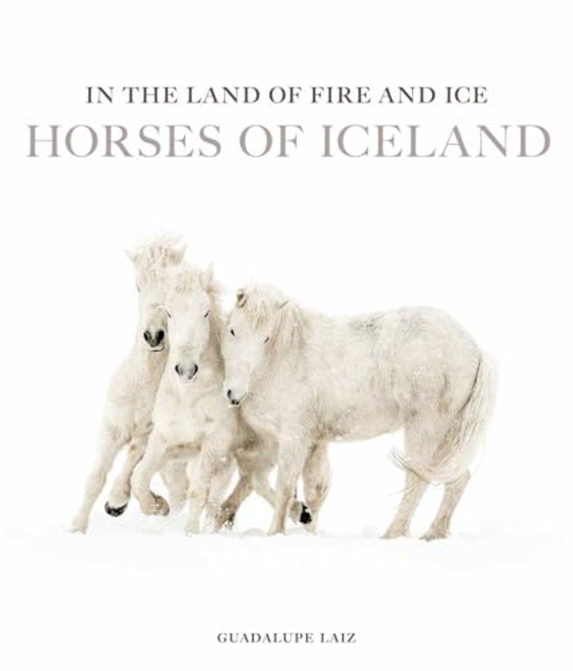 In the Land of Fire and Ice