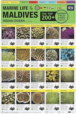 Maldives Marine Life Field Guide
