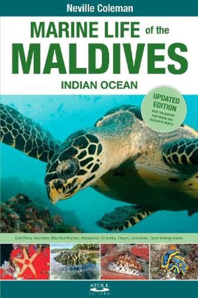 Marine Life of the Maldives - Indian Ocean
