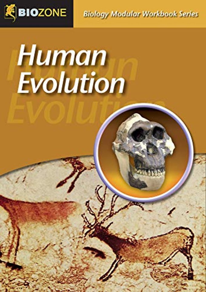 Human Evolution