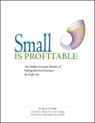 Small is Profitable