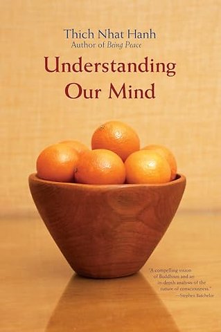 Understanding Our Mind