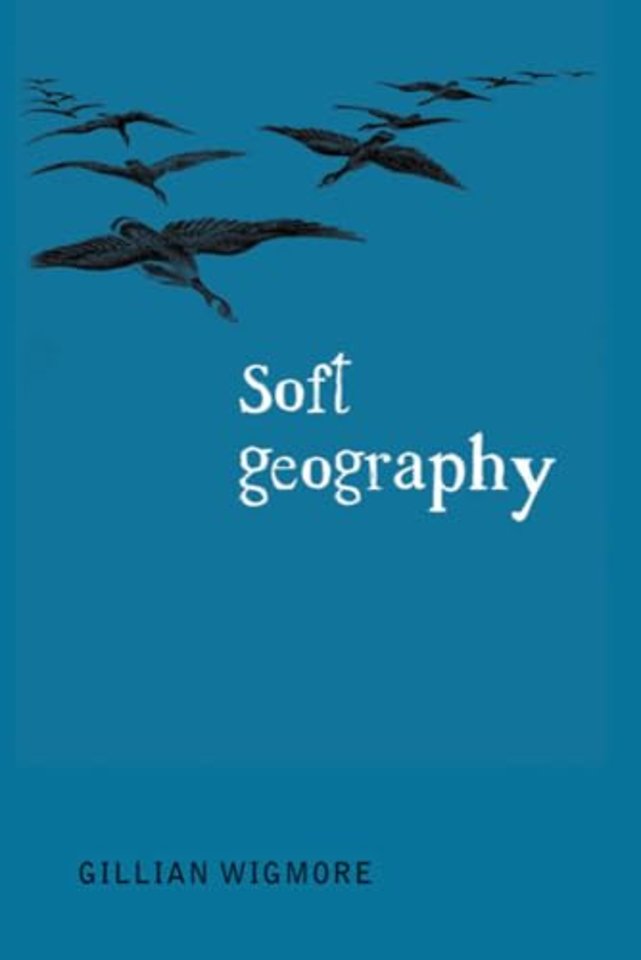 Soft Geography