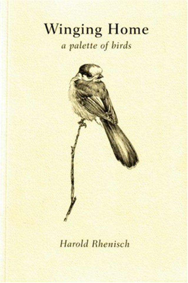 Winging Home
