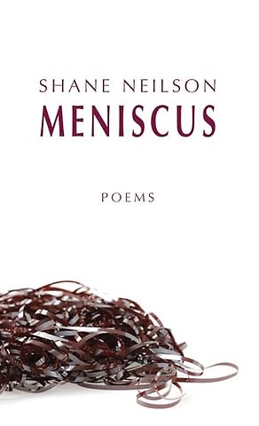 Meniscus
