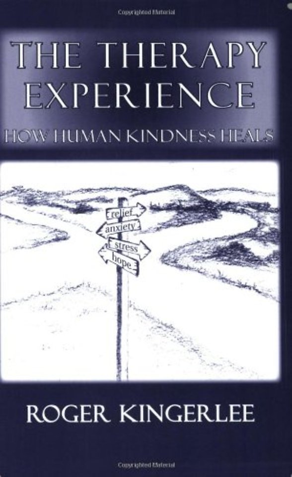The Therapy Experience