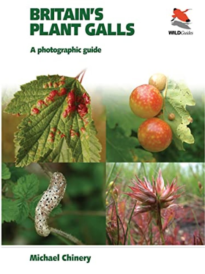 Britain`s Plant Galls – A Photographic Guide