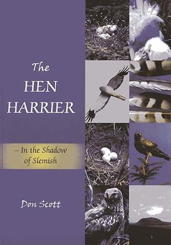 The Hen Harrier